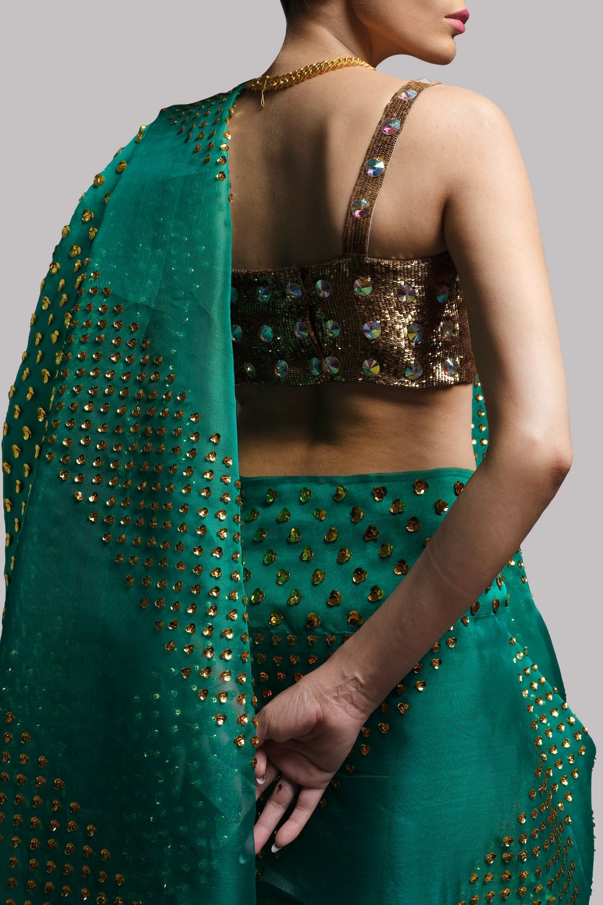 Shady Glade Embellished Organza Sari