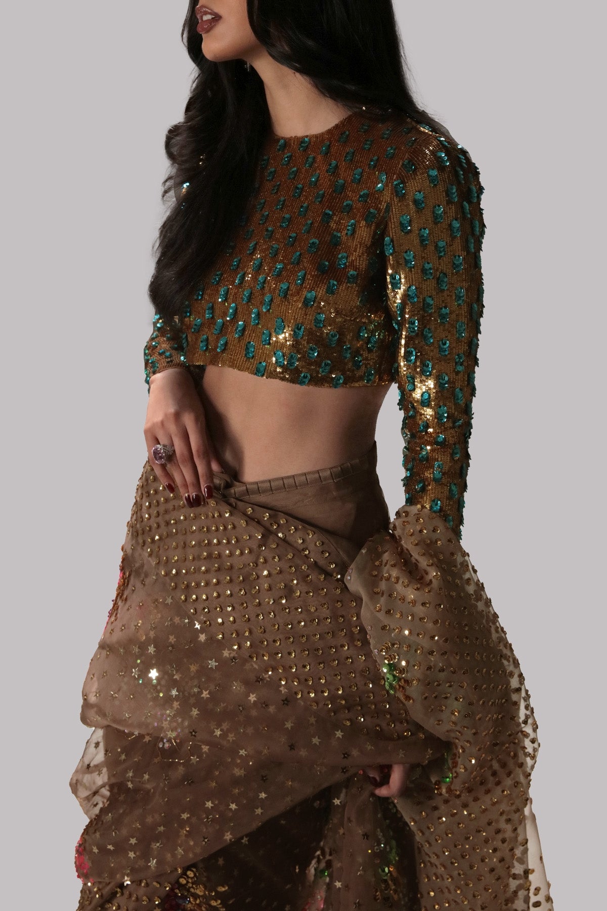 Almondine Embellished Organza Sari