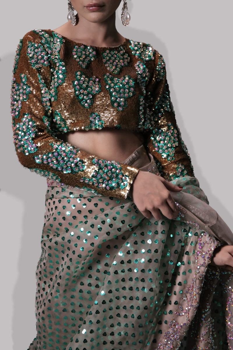 Moonlight Embellished Organza Sari