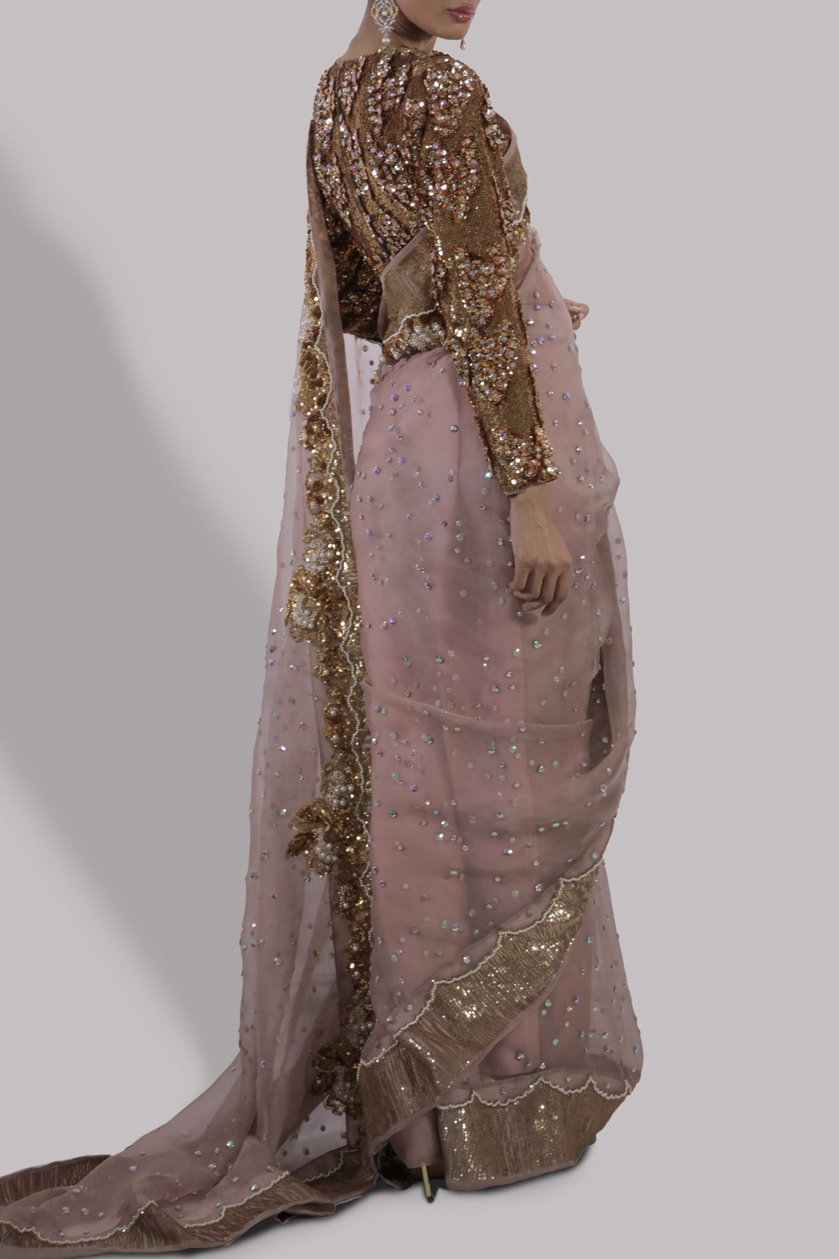 Cameo Rose Embellished Organza Sari