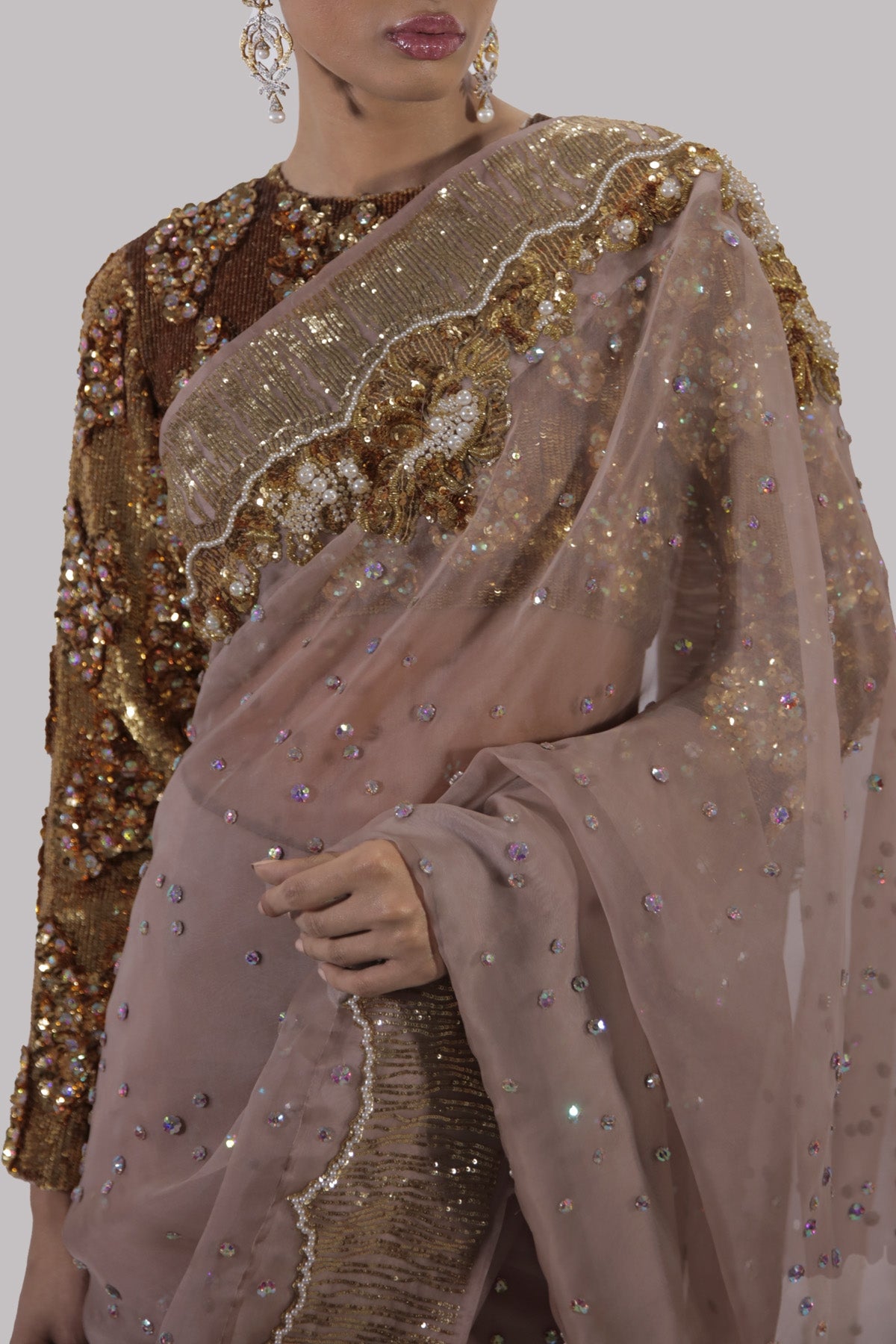 Cameo Rose Embellished Organza Sari