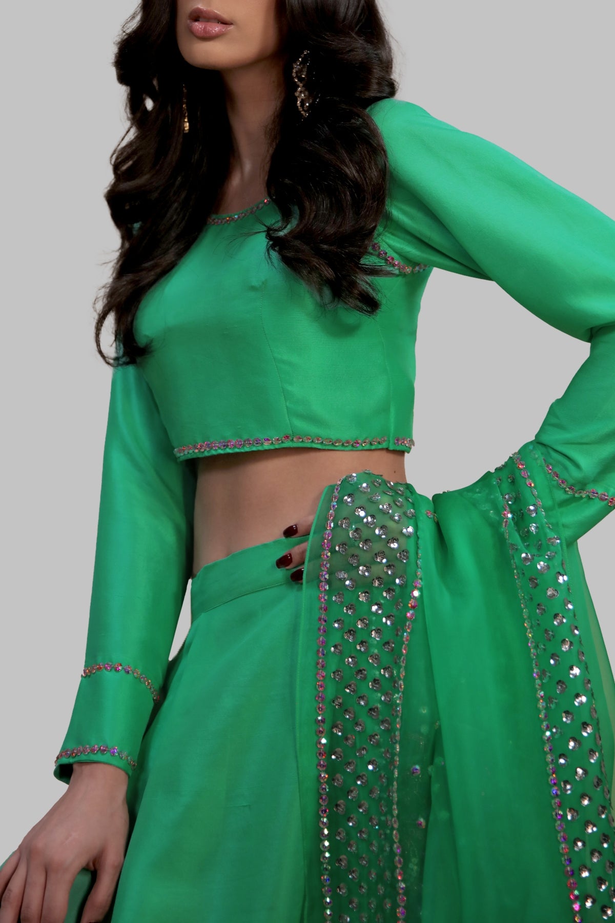 Spring Bud Embellished Lehenga Choli Set