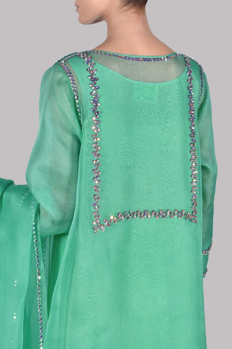 https://www.museluxe.com/wp-content/uploads/2025/02/1018935-05-spring-bud-embellished-organza-set.jpg