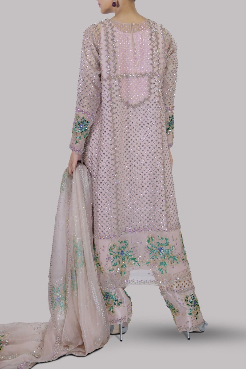 Peach Blush Embellished Organza Set