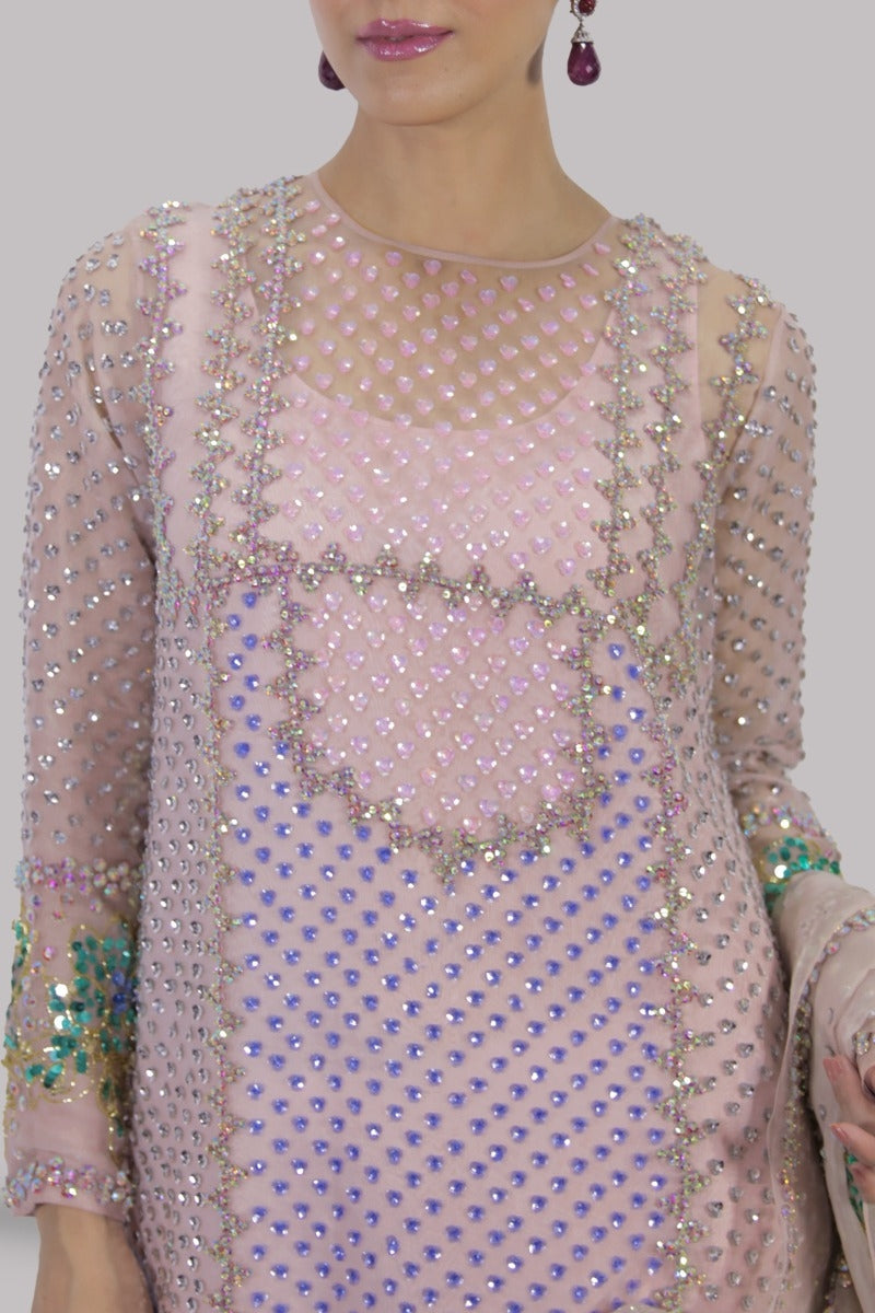 Peach Blush Embellished Organza Set