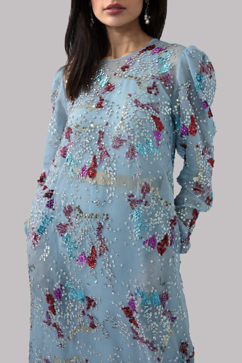 Aquamarine Embellished Organza Maxi