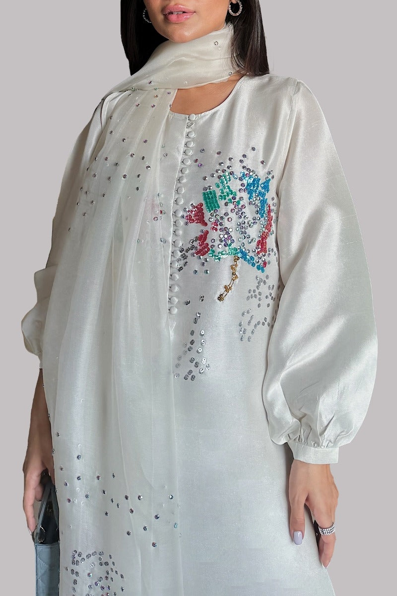 Egret Embellished Raw Silk Set