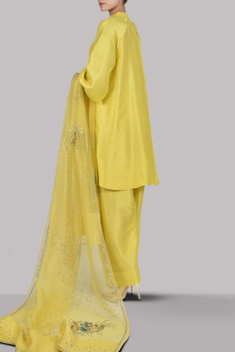 Aurora Yellow Embellished Raw Silk Set