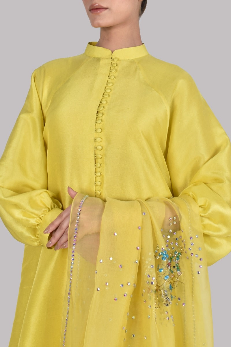 Aurora Yellow Embellished Raw Silk Set