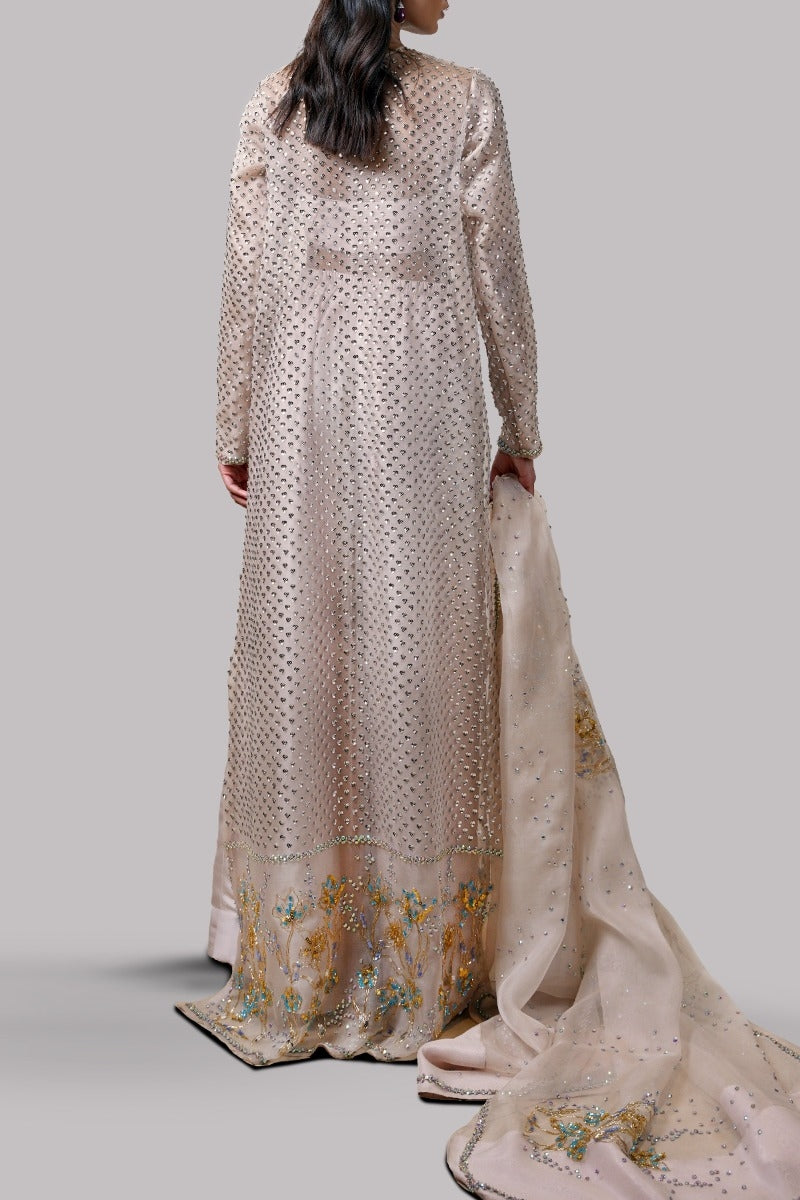 Rose Smoke Embellished Organza Maxi Set