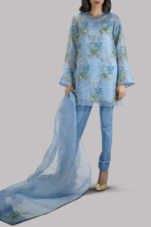 Blue Bell Embellished Raw Silk Churidaar Set