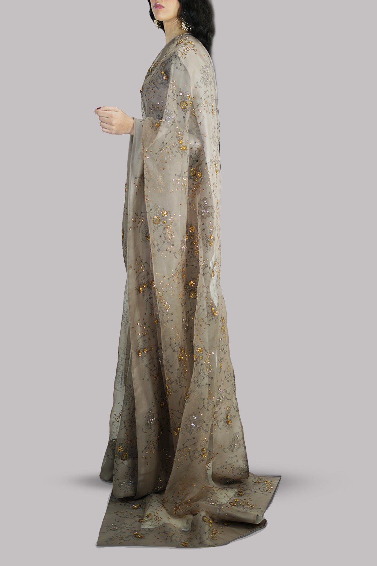 Simply Taupe Block-Printed Embellished Sari