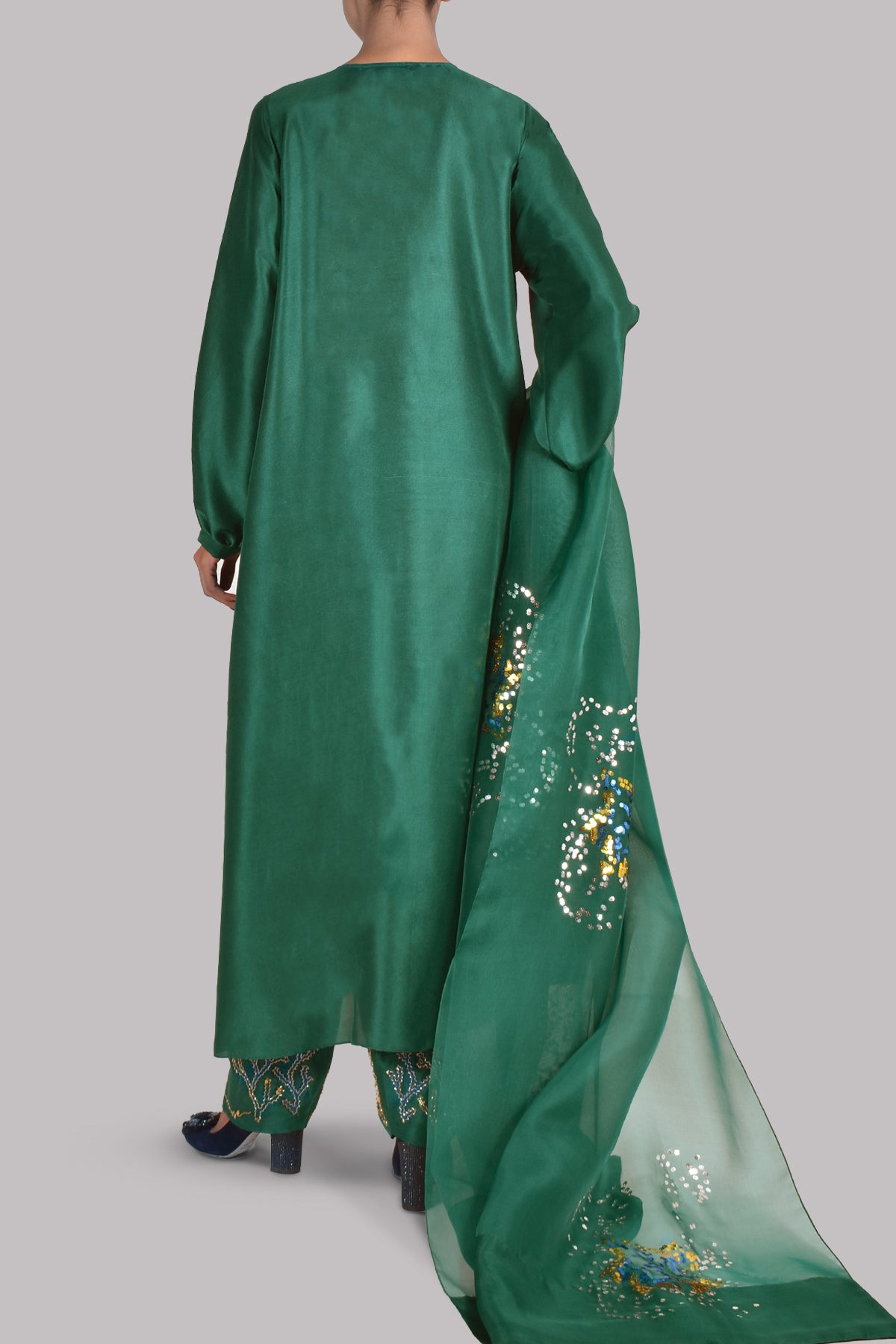 Galapagos Green Embellished Raw Silk Set