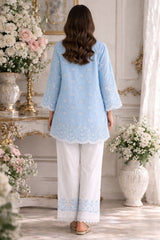 D11 - Pastel Blue