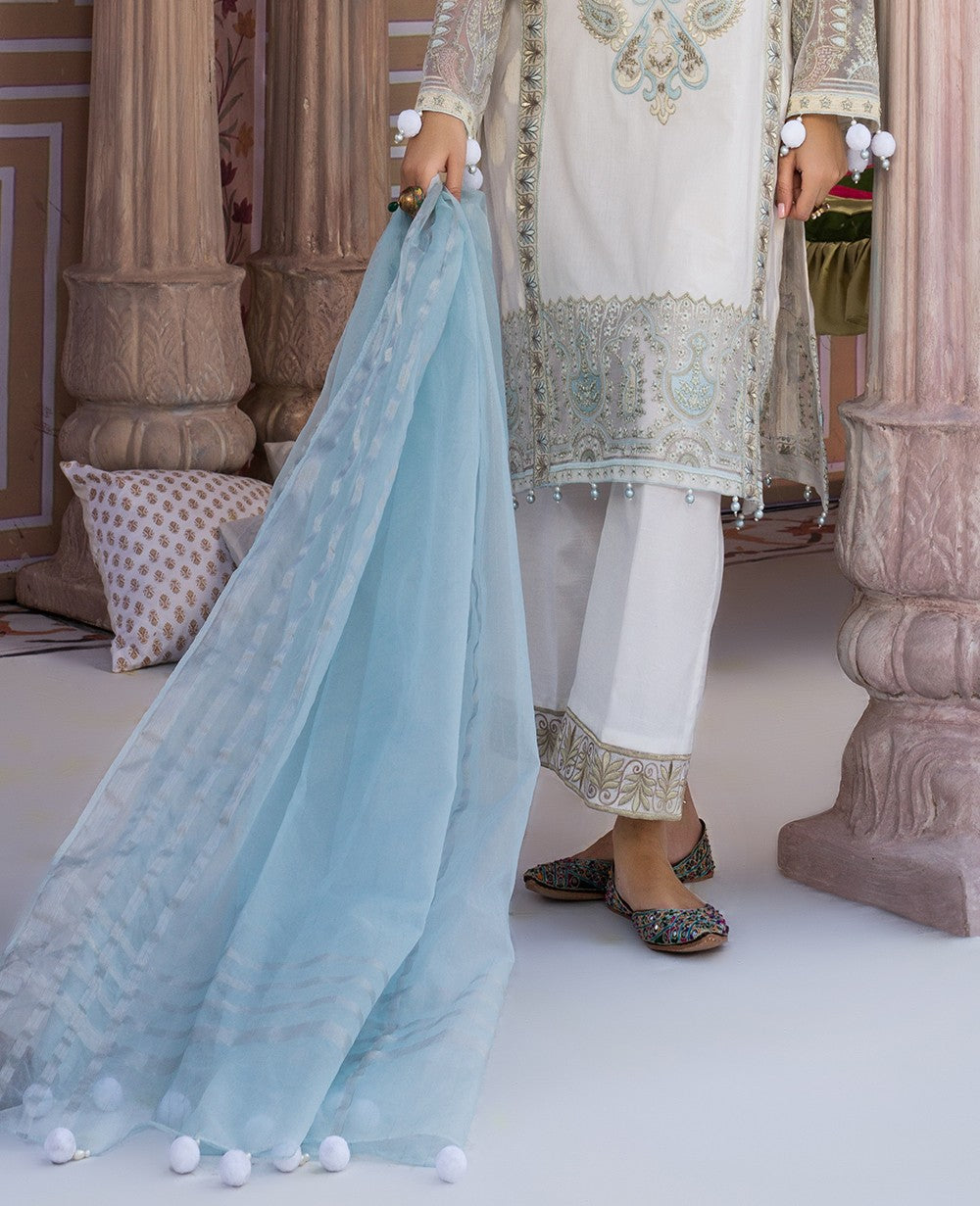 3 Piece Embroidered Organza Suit