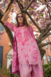 Design 1A SN Basics 2025 UNSTITCHED