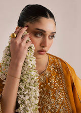 Omavi