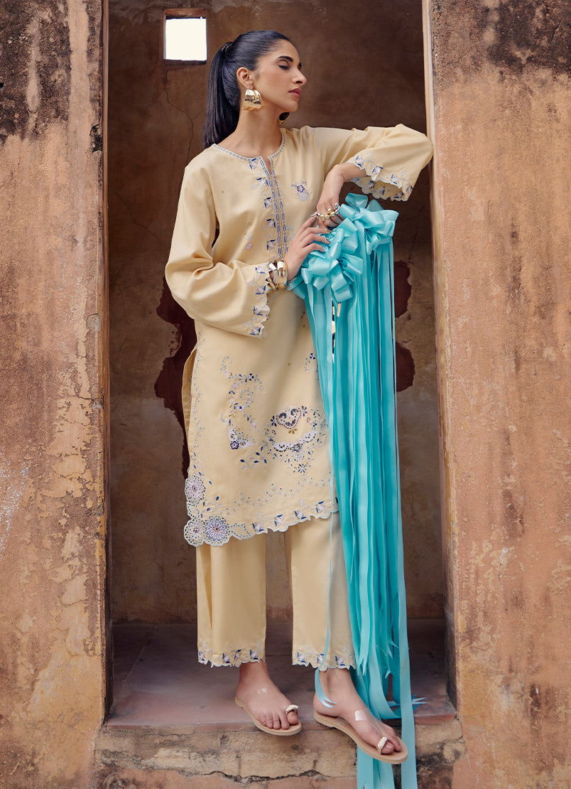 Embroidered CO-ORD Set13118451501020