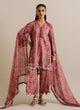 3 PC Printed Embroidered Suit