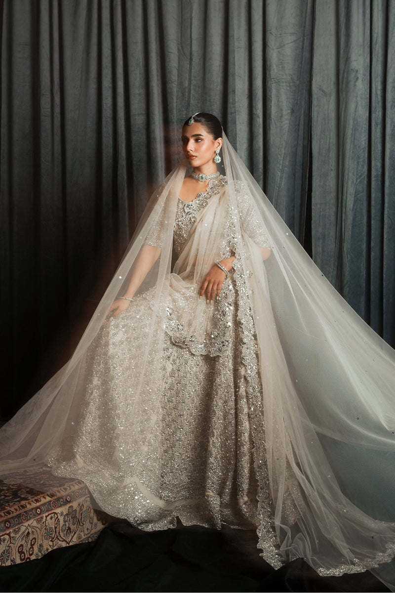 The Silver Lehnga Choli Zc-001