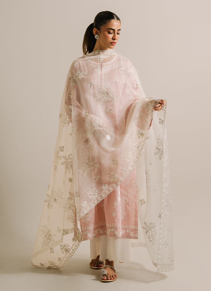 https://cdn.shopify.com/s/files/1/0418/6429/8657/files/1_0f268ca0-82d8-495f-877f-3700e986fd50.jpg?v=1759141101