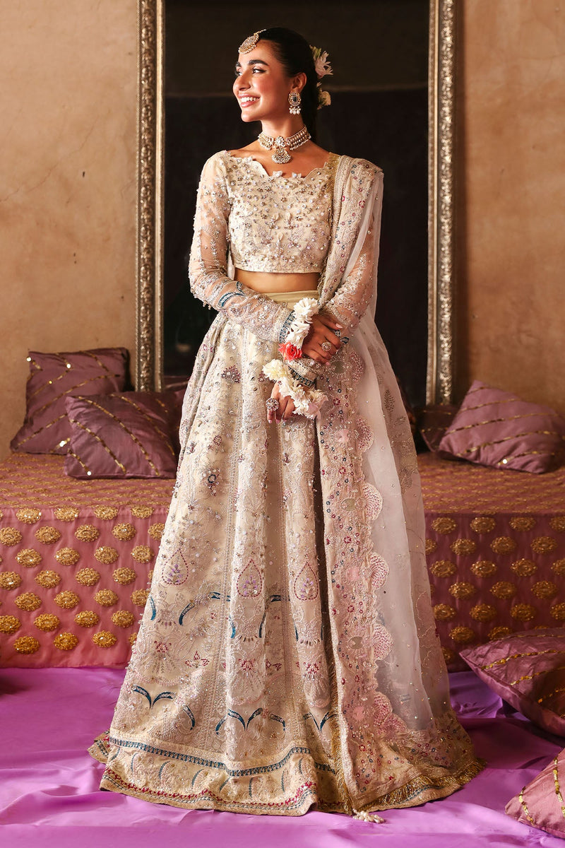 Nl-72 Chandni