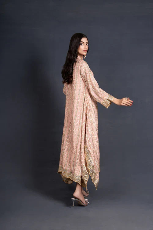 Organzab duppatta with edging