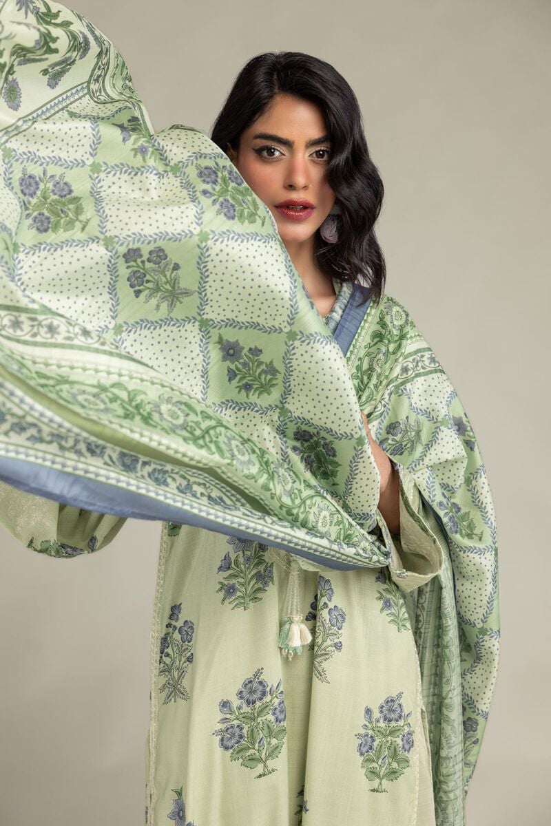 Mint Mesuri Dupatta