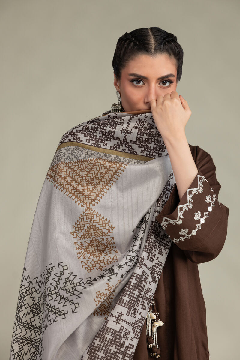 Brown Silk Dupatta
