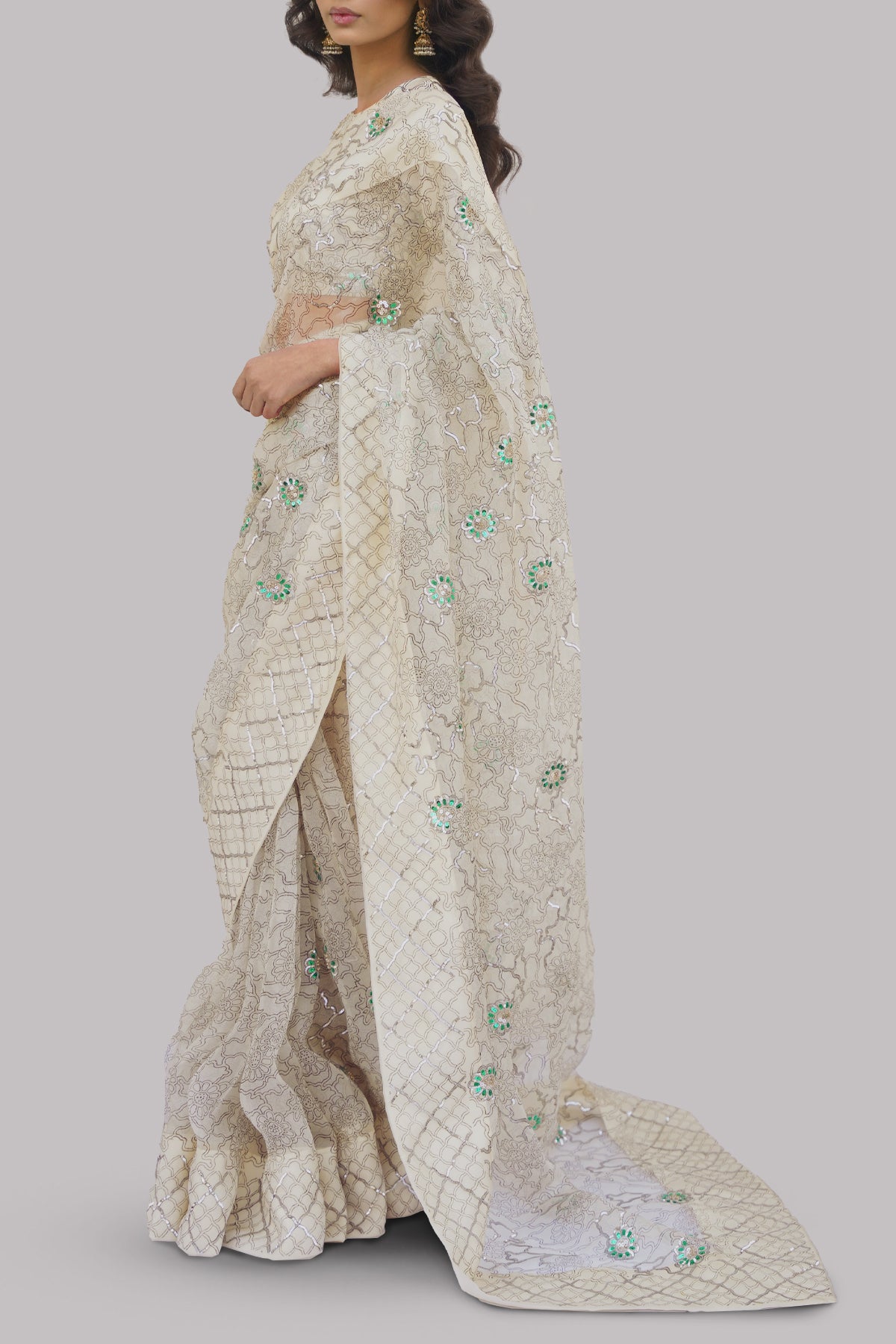 Afterglow Block Printed and Embellished Organza Sari