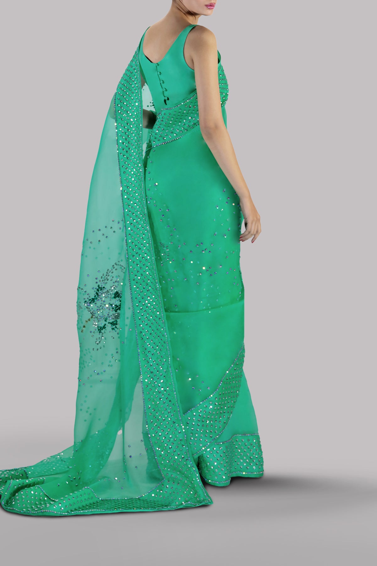 Spring Bud Embellished Organza Sari