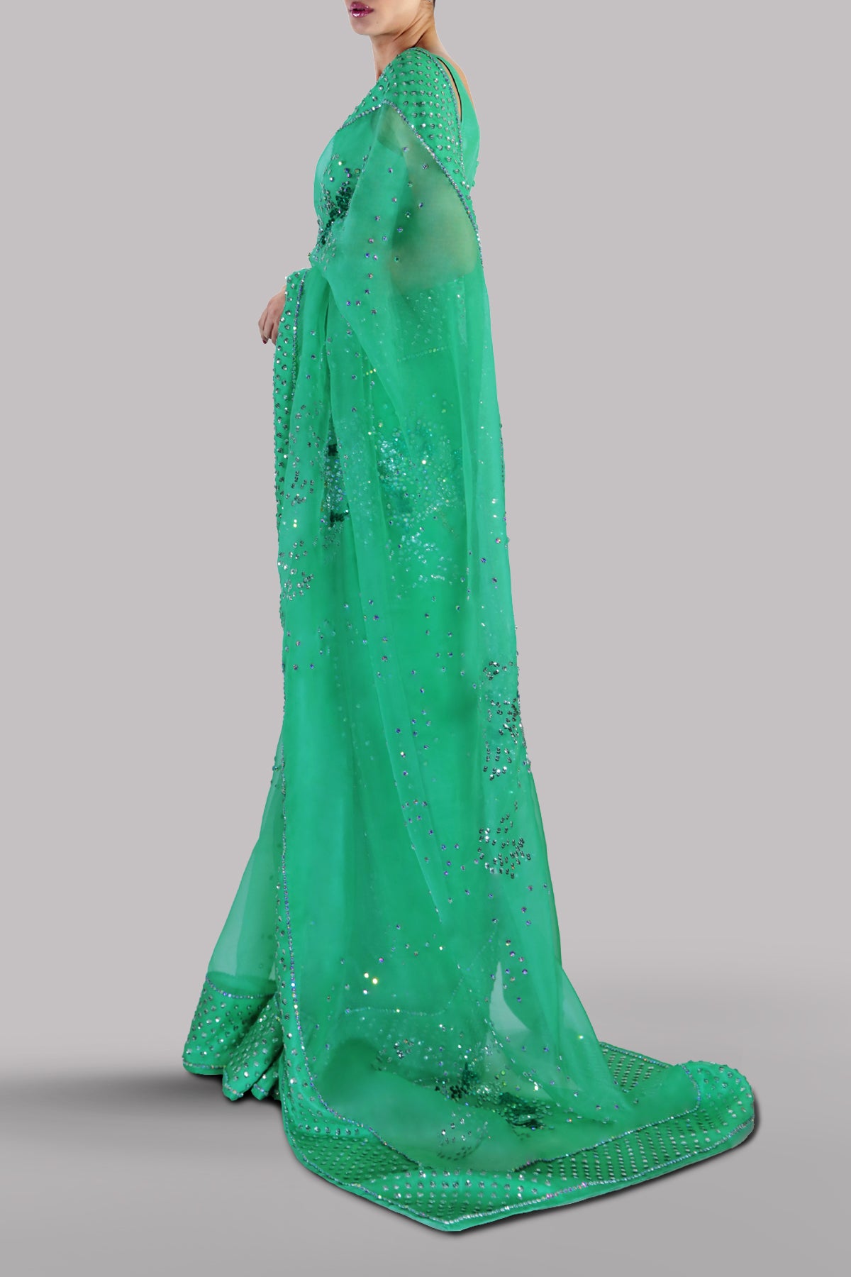 Spring Bud Embellished Organza Sari