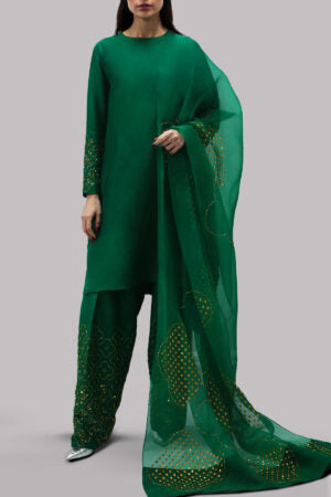 Galapagos Green Embellished Raw Silk Set