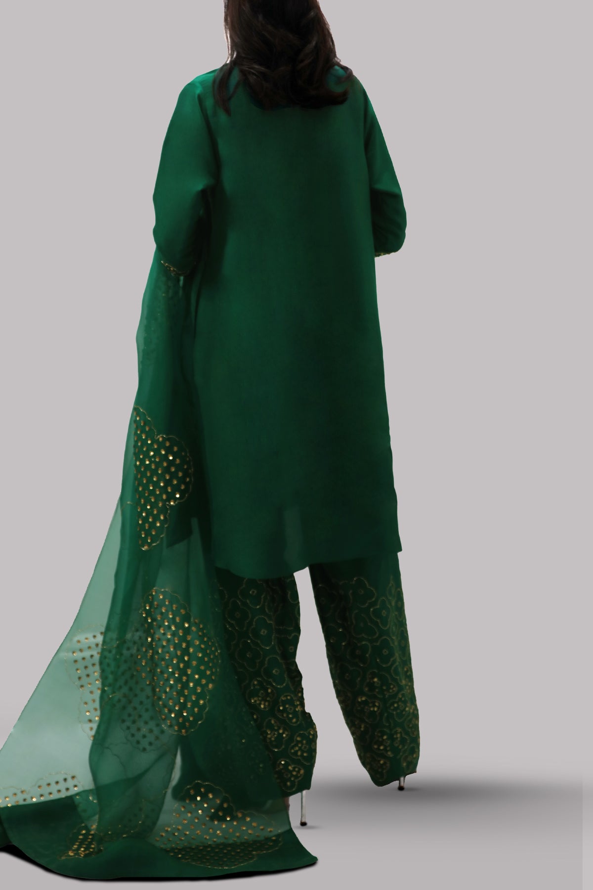 Galapagos Green Embellished Raw Silk Set