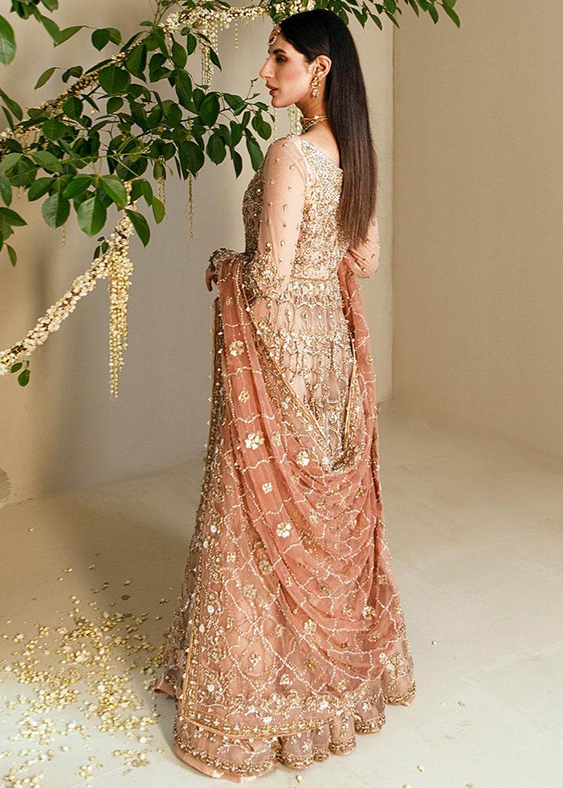 Humera
