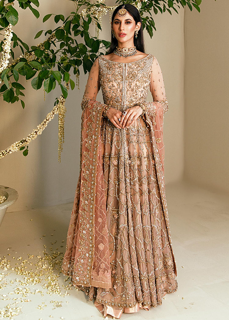 Humera