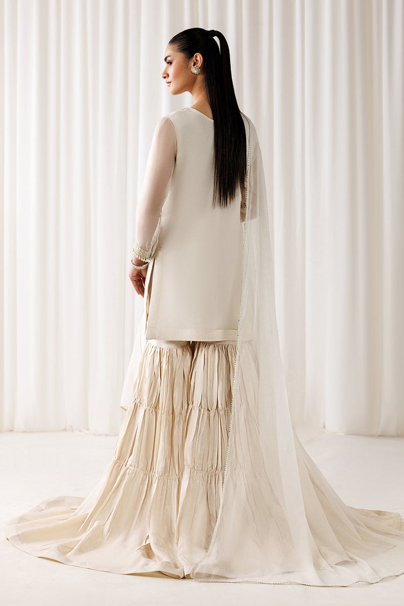 EMBROIDERED CHIFFON EN-1293