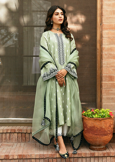 Green Daisy