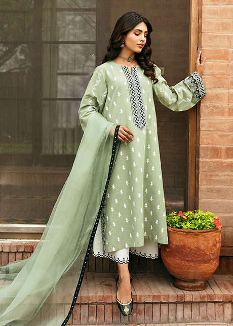 Green Daisy