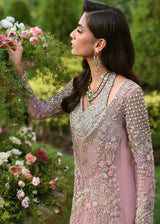 Haya
