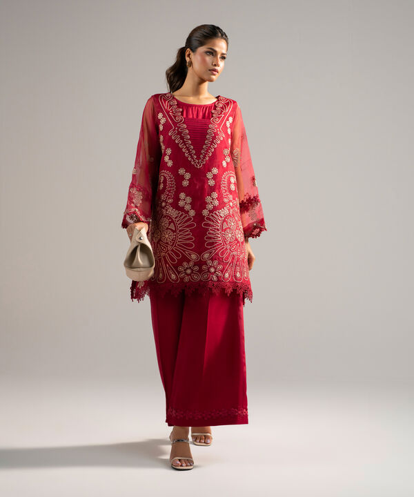 2 Piece - Embroidered Organza Suit