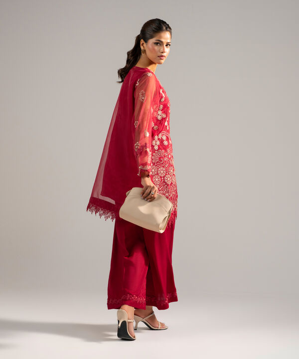 2 Piece - Embroidered Organza Suit