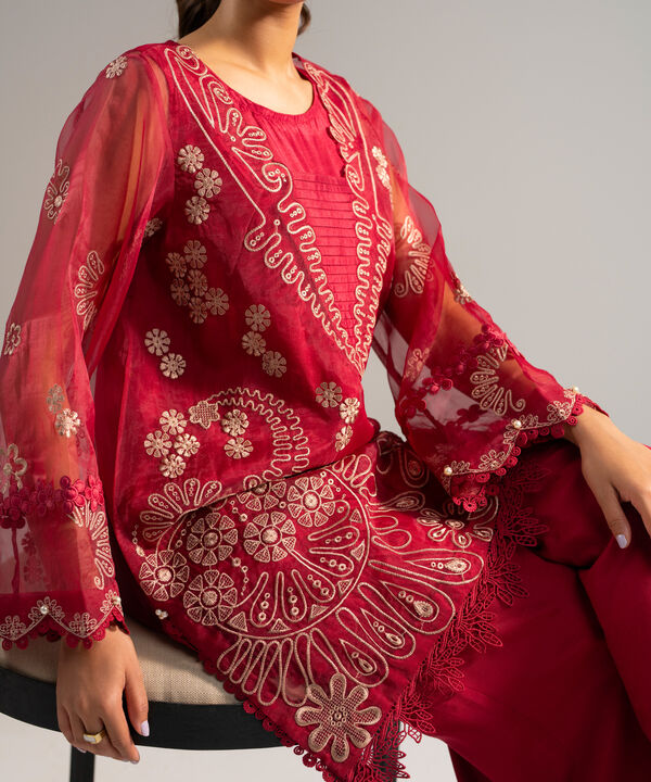 2 Piece - Embroidered Organza Suit