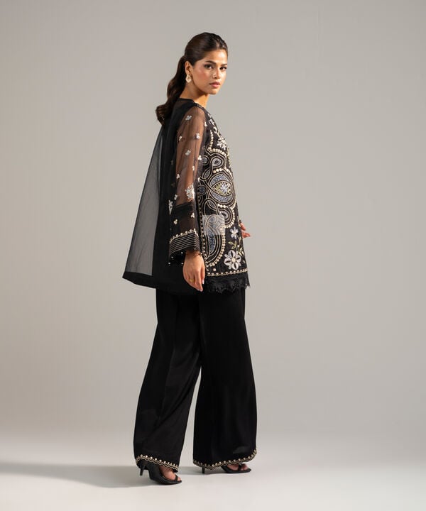 2 Piece - Embroidered Organza Suit