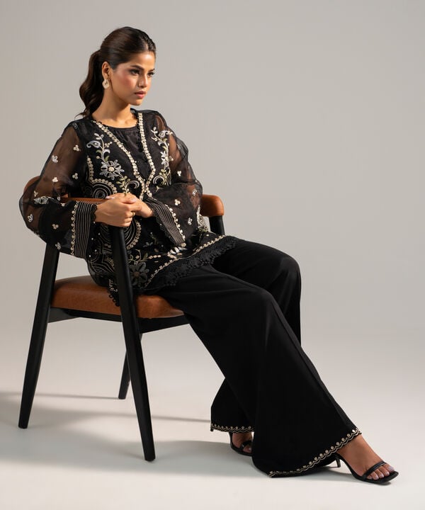 2 Piece - Embroidered Organza Suit