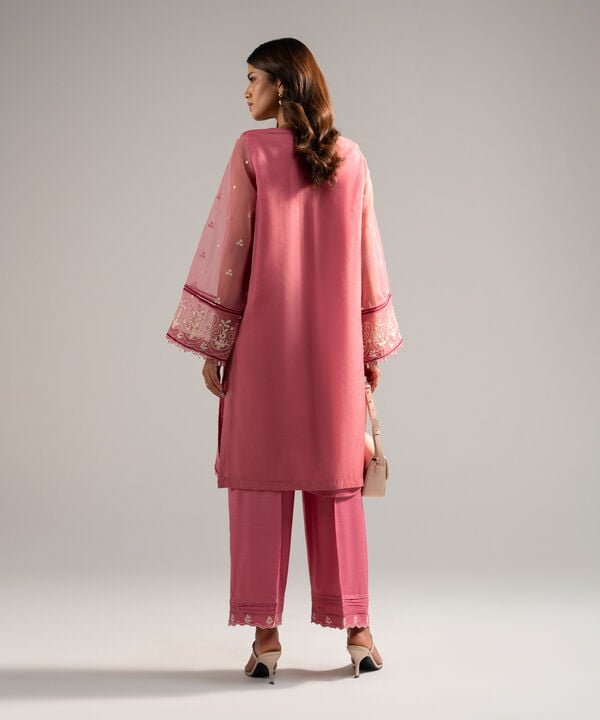2 Piece - Embroidered Organza Suit