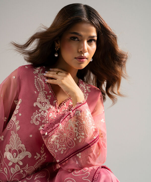 2 Piece - Embroidered Organza Suit