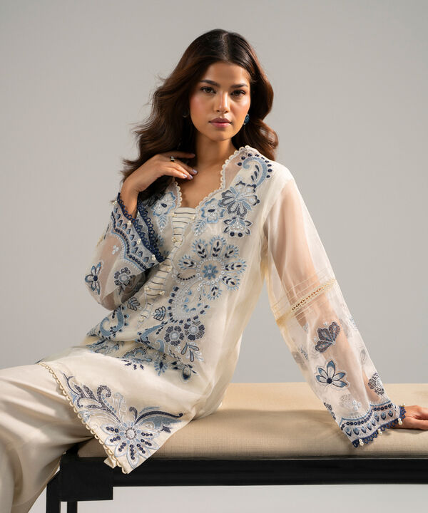 2 Piece - Embroidered Organza Suit
