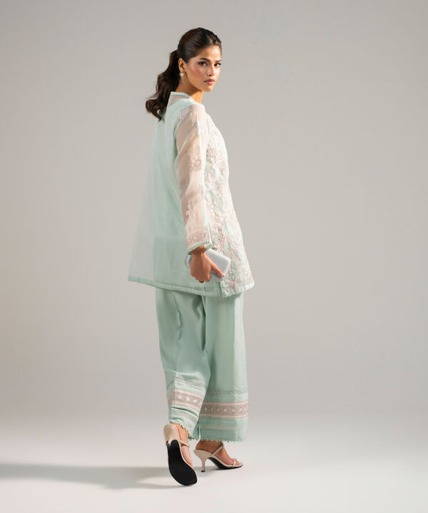 2 Piece - Embroidered Organza Suit