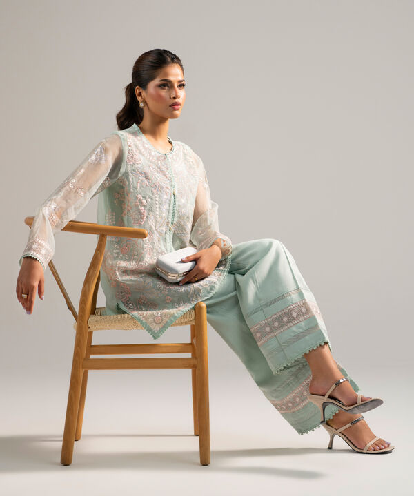 2 Piece - Embroidered Organza Suit